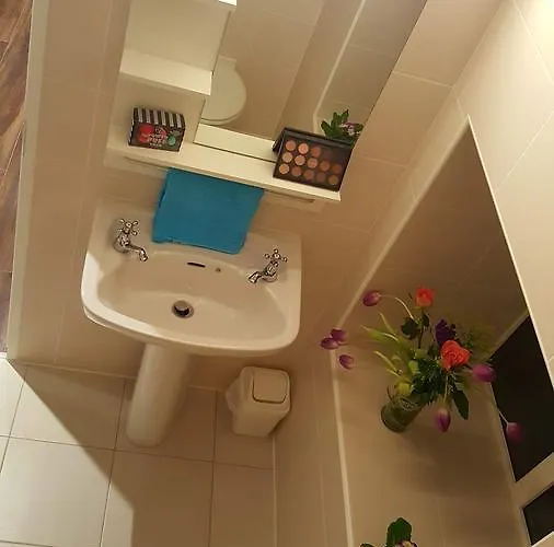 宾馆 Ridge-rock 3*